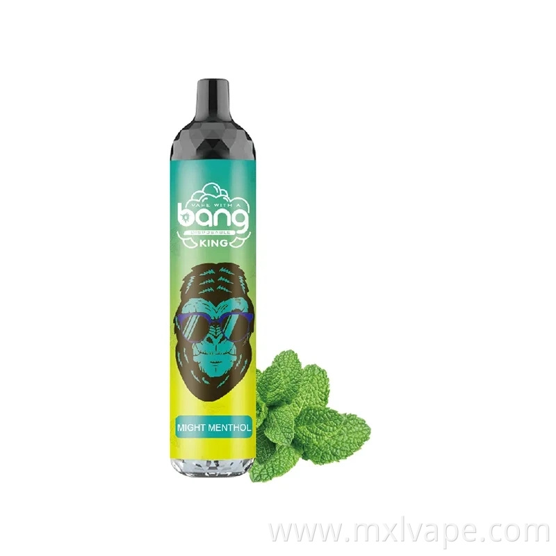 2023 Top 1 Shenzhen Factory Wholesale I Disposable Rechargeable 6000 10000 12000 Puffs Price Smoke E Shisha Bang King Electronic Empty Cheap Amazon Vapor Vaper